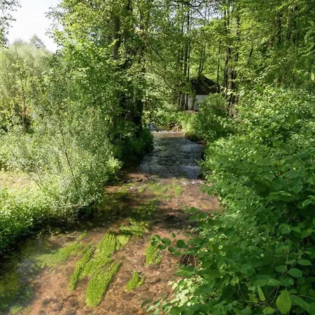 Apartment 1st Floor Near Willingen *